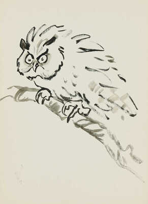 Гальба Владимир Александрович. Сова